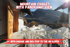 5' Bus to the Ski Slopes, Panoramic Chalet
